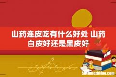 山药连皮吃有什么好处 山药白皮好还是黑皮好