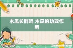 木瓜长胖吗 木瓜的功效作用