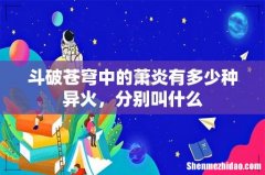 斗破苍穹中的萧炎有多少种异火，分别叫什么