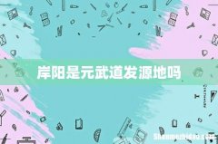 岸阳是元武道发源地吗