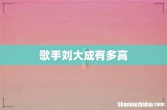 歌手刘大成有多高