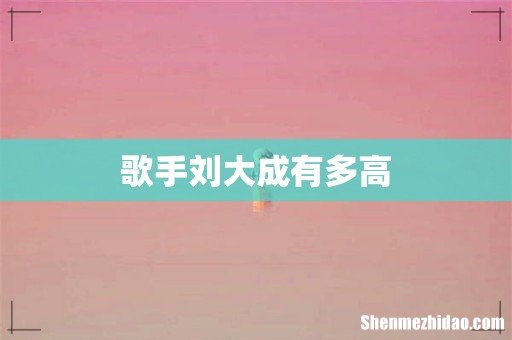 歌手刘大成有多高