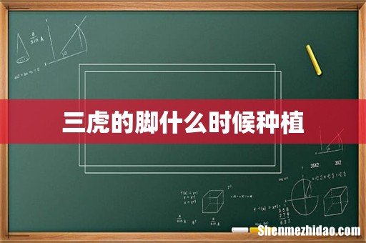 三虎的脚什么时候种植