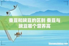 蚕豆和豌豆的区别 蚕豆与豌豆哪个营养高