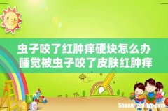 虫子咬了红肿痒硬块怎么办 睡觉被虫子咬了皮肤红肿痒