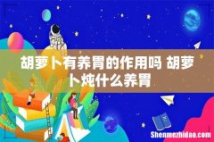 胡萝卜有养胃的作用吗 胡萝卜炖什么养胃