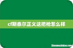 cf斯泰尔正义这把枪怎么样