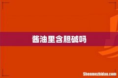 酱油里含胆碱吗