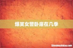 爆笑女警卧底在几季