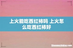 上火能吃西红柿吗 上火怎么吃西红柿好