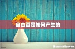 自由基是如何产生的