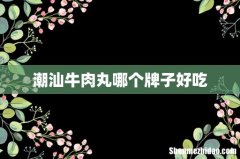 潮汕牛肉丸哪个牌子好吃