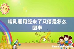 哺乳期月经来了又停是怎么回事