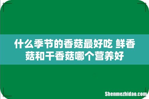 什么季节的香菇最好吃 鲜香菇和干香菇哪个营养好