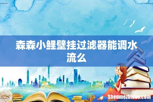 森森小鲤壁挂过滤器能调水流么