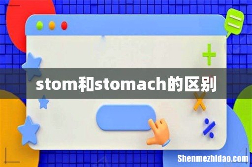 stom和stomach的区别