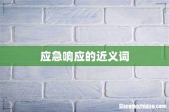 应急响应的近义词