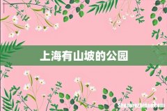 上海有山坡的公园