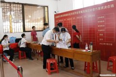 人工投票法律法规价格多少钱一票