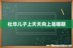 杜华儿子上天天向上是哪期