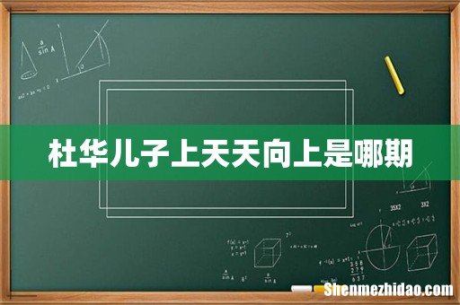 杜华儿子上天天向上是哪期