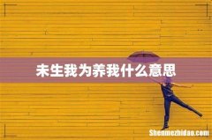 未生我为养我什么意思