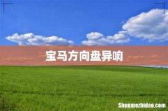 宝马方向盘异响