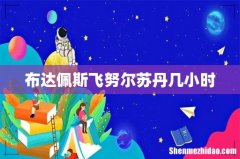 布达佩斯飞努尔苏丹几小时