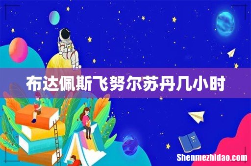 布达佩斯飞努尔苏丹几小时