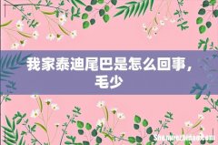我家泰迪尾巴是怎么回事，毛少