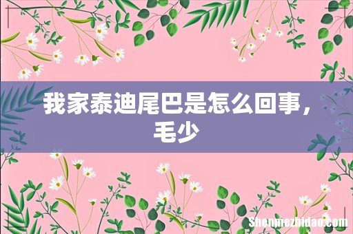 我家泰迪尾巴是怎么回事,毛少