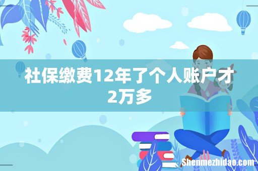 社保缴费12年了个人账户才2万多