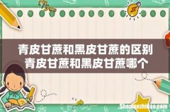 青皮甘蔗和黑皮甘蔗的区别 青皮甘蔗和黑皮甘蔗哪个容易上火