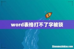 word表格打不了字被锁