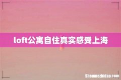 loft公寓自住真实感受上海