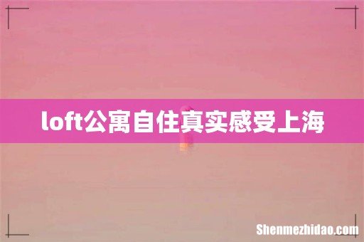loft公寓自住真实感受上海