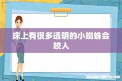 床上有很多透明的小蜘蛛会咬人
