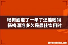 杨梅酒泡了一年了还能喝吗 杨梅酒泡多久是最佳饮用时间