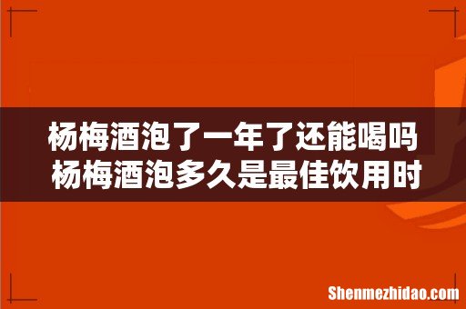 杨梅酒泡了一年了还能喝吗 杨梅酒泡多久是最佳饮用时间