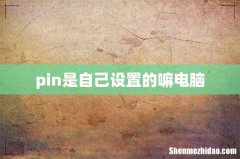 pin是自己设置的嘛电脑