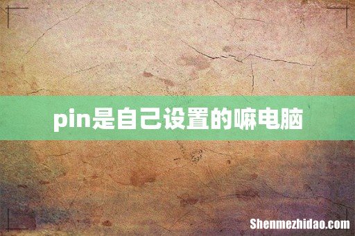 pin是自己设置的嘛电脑