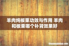羊肉炖板栗功效与作用 羊肉和板栗哪个补肾效果好