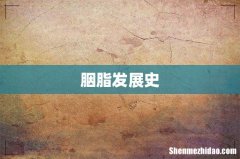胭脂发展史
