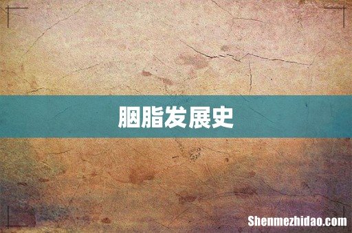 胭脂发展史