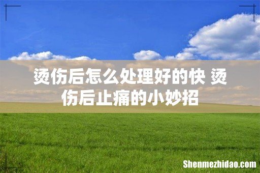 烫伤后怎么处理好的快 烫伤后止痛的小妙招