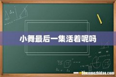 小舞最后一集活着呢吗