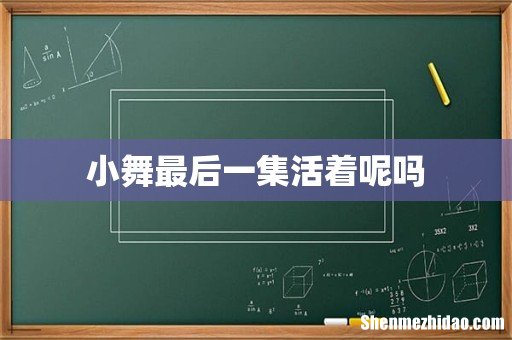 小舞最后一集活着呢吗