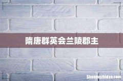 隋唐群英会兰陵郡主