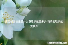把花呗套出来是什么意思手续费多少 花呗套取手续费多少