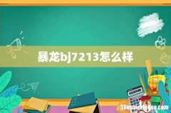 暴龙bj7213怎么样